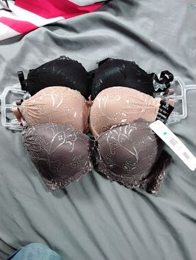 Rene Rofe Lace Padded Bras in Black, Blush, and Taupe